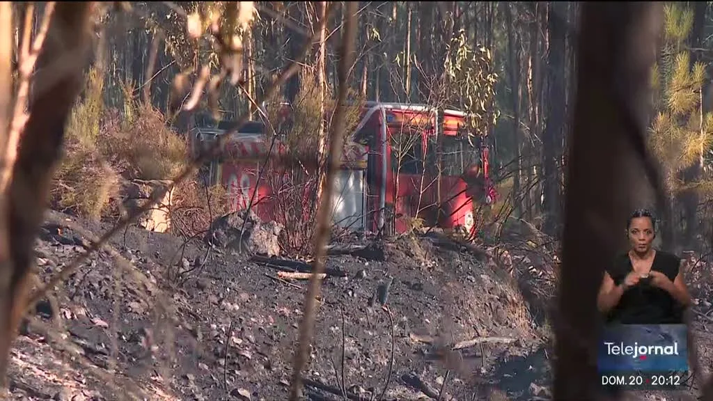 Incêndio em Arganil dado como dominado