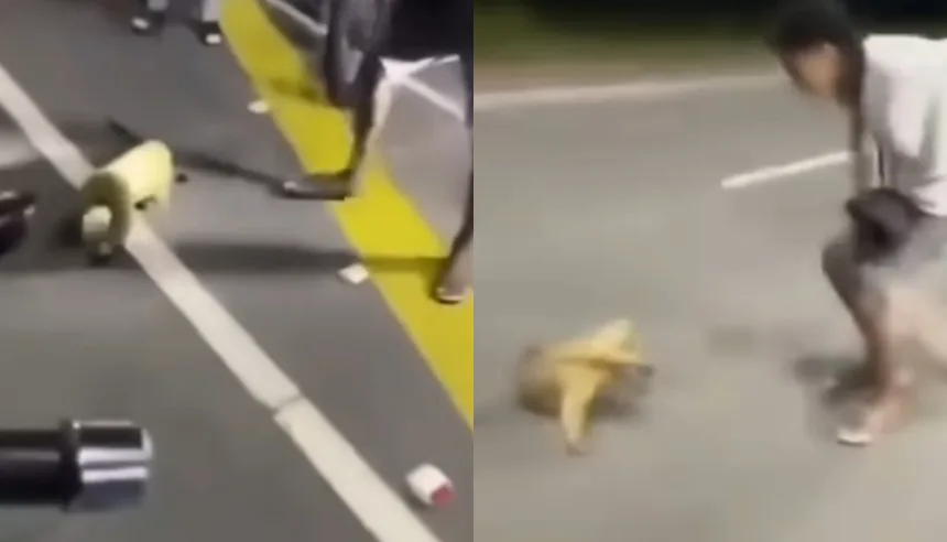 VIRAL: El indignante video que muestra el brutal maltrato animal contra una pequeña Tamanduá en Anzoátegui, piden justicia
