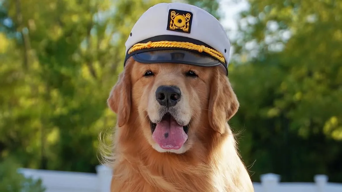 12 Millionen Fans trauern um den Vierbeiner - Social-Media-Star Tucker ist tot