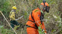 El Niño traz risco de seca e incêndios florestais ao Amapá, aponta Censipam