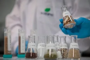 Suzano (SUZB3): Itaú BBA corta preço-alvo, mas mantém ação como favorita do setor