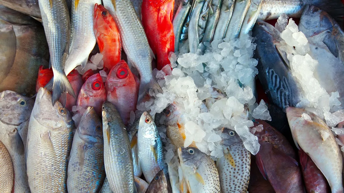 Beatriz Robles, nutricionista: “Para reducir el mercurio, mejor pescados pequeños que grandes y azules”