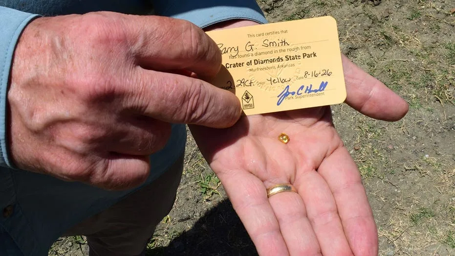 Grandfather finds hidden treasure in plain sight as park officials 'dumbfounded' by discovery