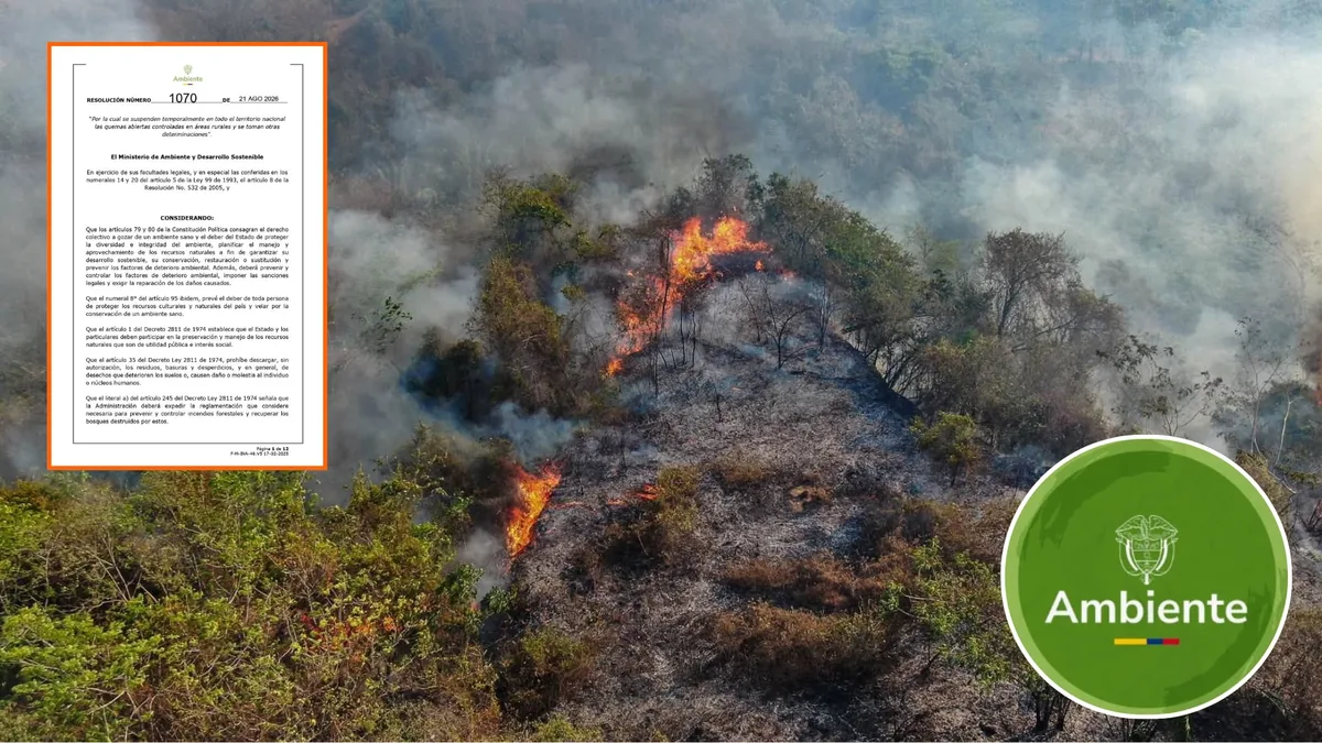 Por incendios forestales en Colombia, Ministerio de Ambiente suspende de forma temporal las quemas abiertas controladas en zonas rurales