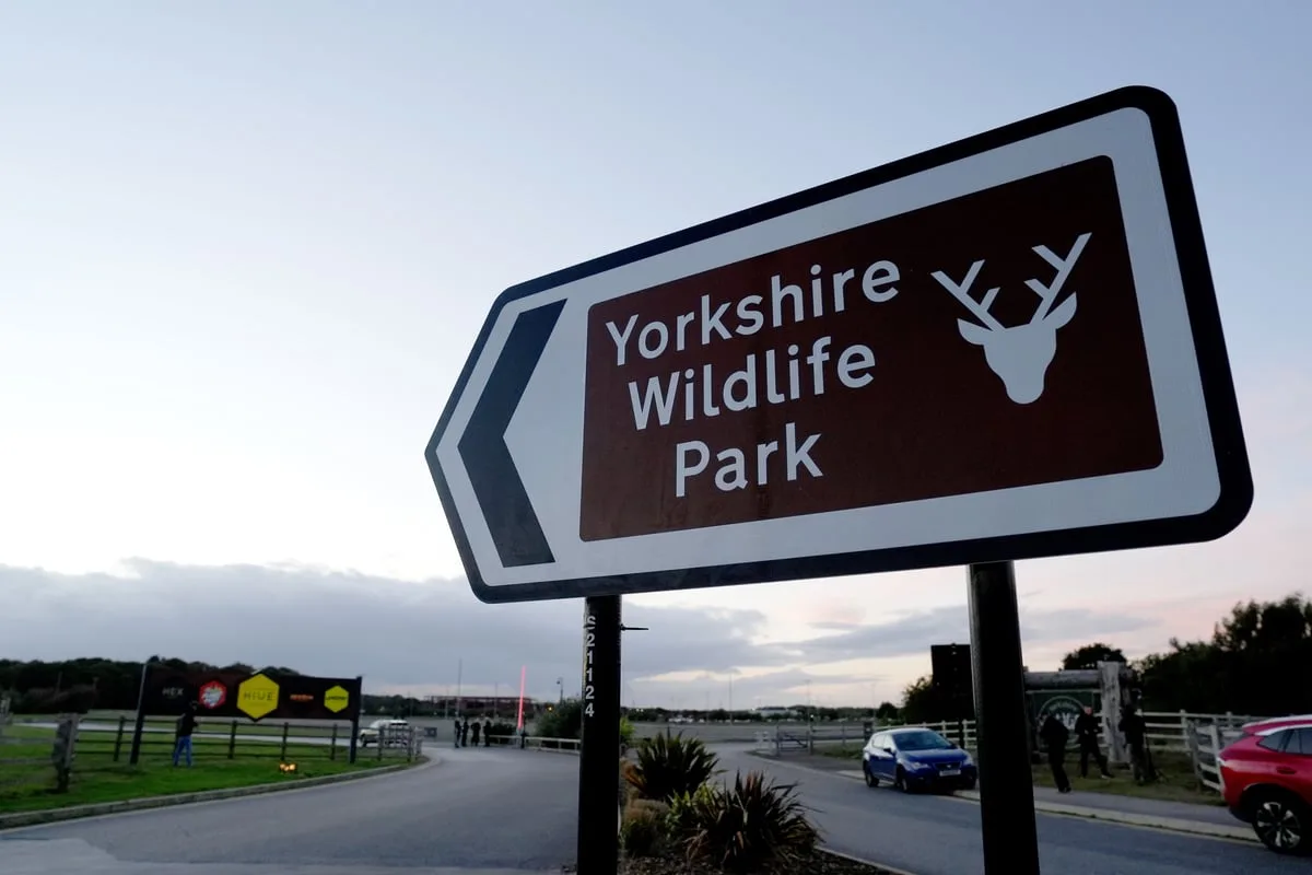 Wildlife park to reopen six days after visitor killed by tiger