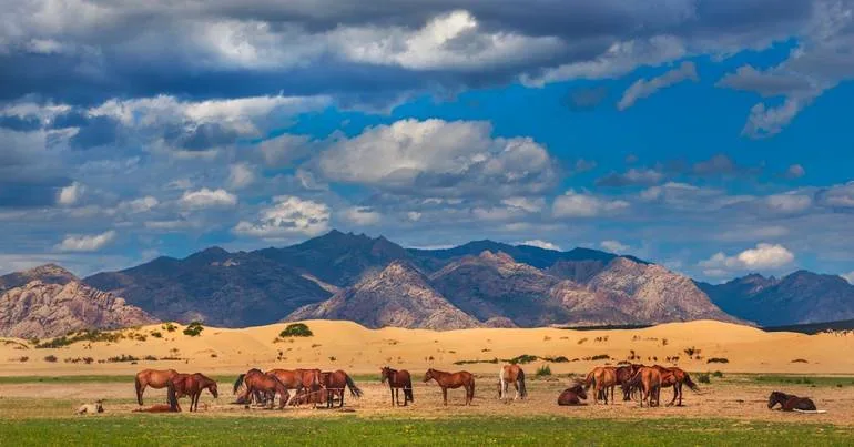 Mongólia pede ação na abertura da COP17