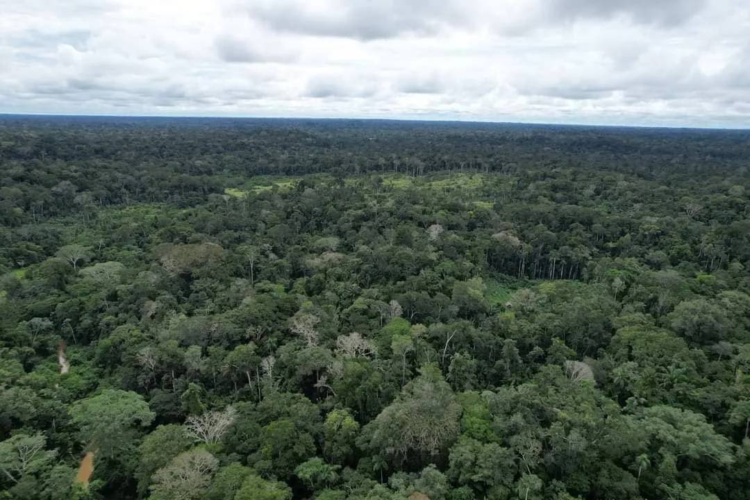 Acre registra redução de 22,2% no desmatamento