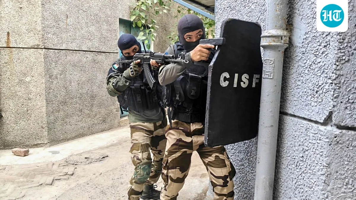 CISF scraps territorial commands, puts sectors under specialist control