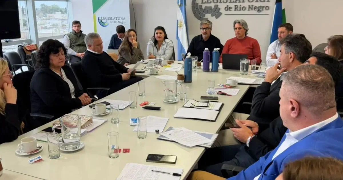 Jabalí, guanaco y producción artesanal: la nueva Ley de Carnes de Río Negro dio un paso clave en la Legislatura