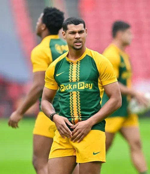 Haashim Pead poised to join Stormers just days after Lions coach Ivan van Rooyen backed him
