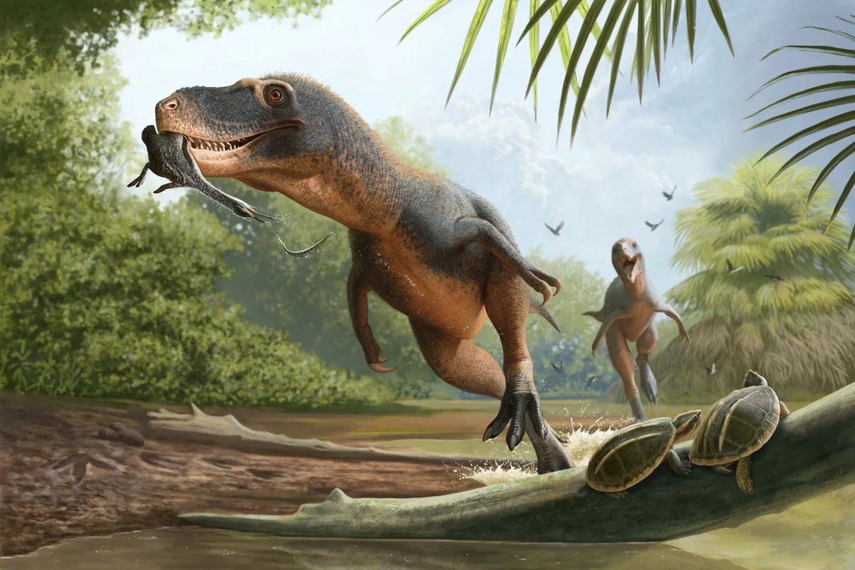 Una pluma escondida en heces fosilizadas podría revelar por qué algunas aves sobrevivieron a la extinción de los dinosaurios