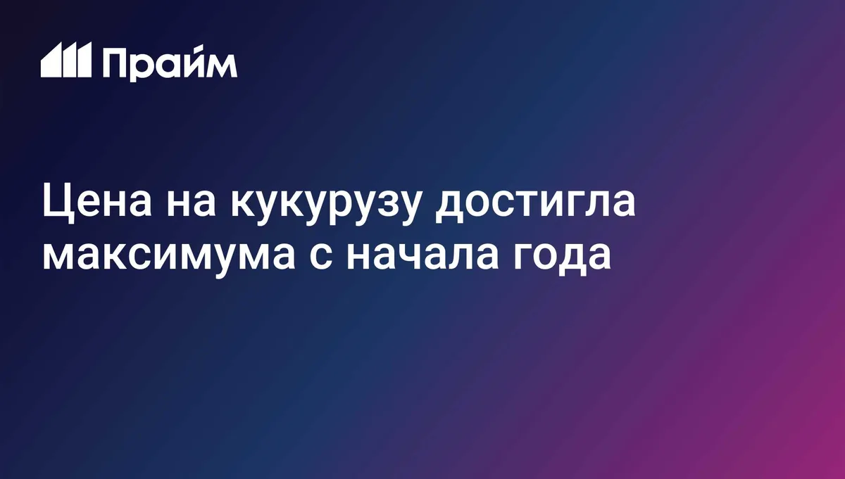 Цена на кукурузу достигла максимума с начала года