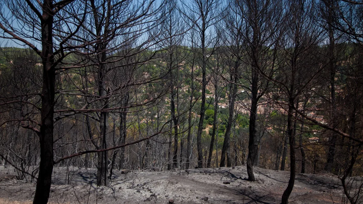 Incendies dans le Var: les feux du Gros Bessillon et de Ginasservis sont officiellement éteints