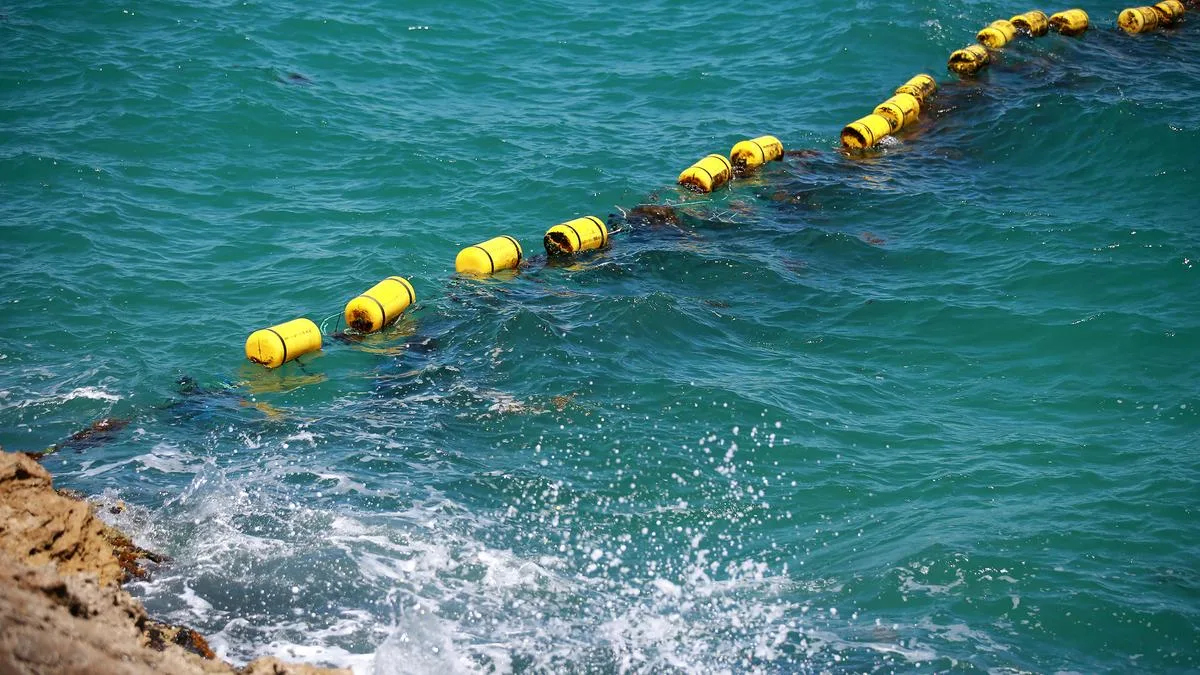 Push for ‘modern’ Sorrento Beach shark barrier to go before council after fatal attack