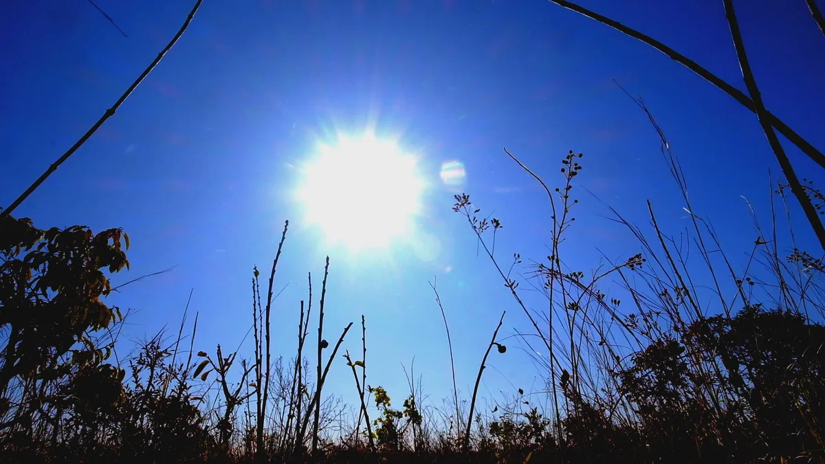DF tem dia mais quente do ano com 31,3°C; calorão deve continuar, diz meteorologista