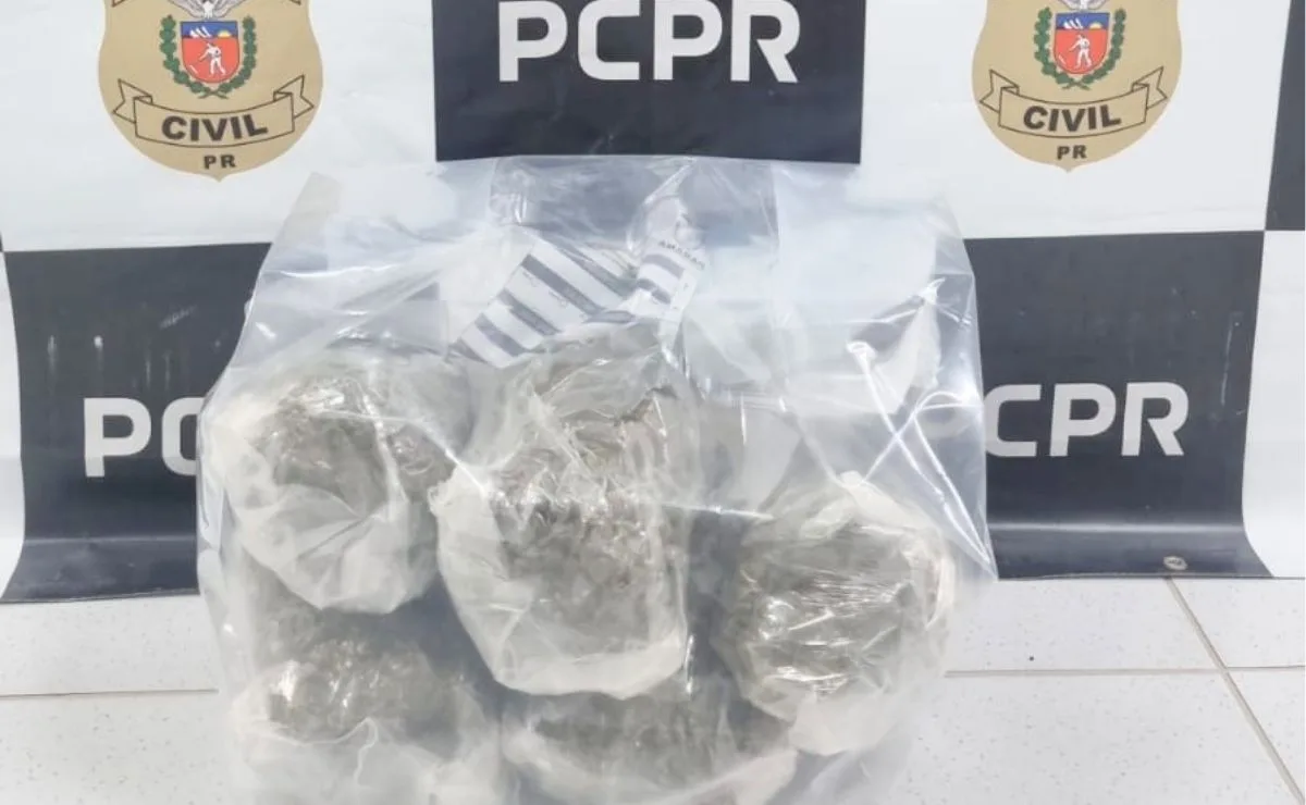 “Amaciante” diferenciado! Polícia intercepta 5 kg de capulho escondidos em encomenda para SC