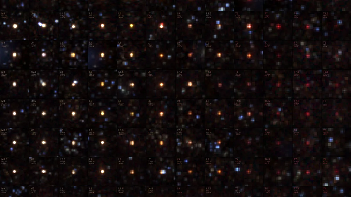 Sternartige Himmelskörper: Tausende neue Braune Zwerge entdeckt