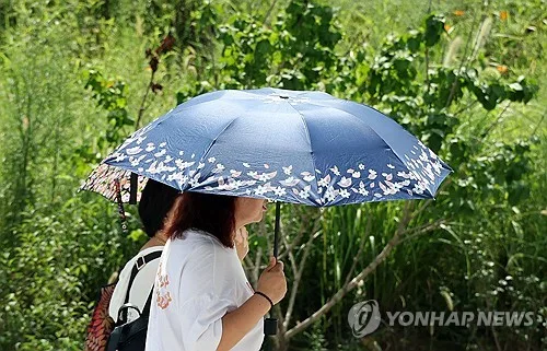 경북 청송에 폭염경보…포항 등 11곳 폭염경보 유지