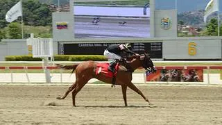 Ganadora clásica regresa a la pista de La Rinconada luego de 168 días sin correr