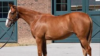 Debuta hermana completa de Always a Runner ganadora de la Kentucky Oaks (G1)