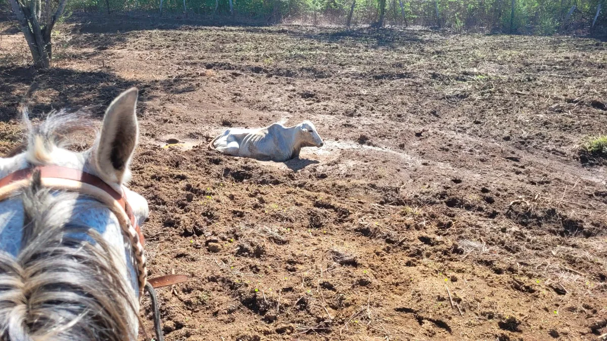 Estudo aponta riscos e propõe medidas contra mudanças climáticas na Bahia