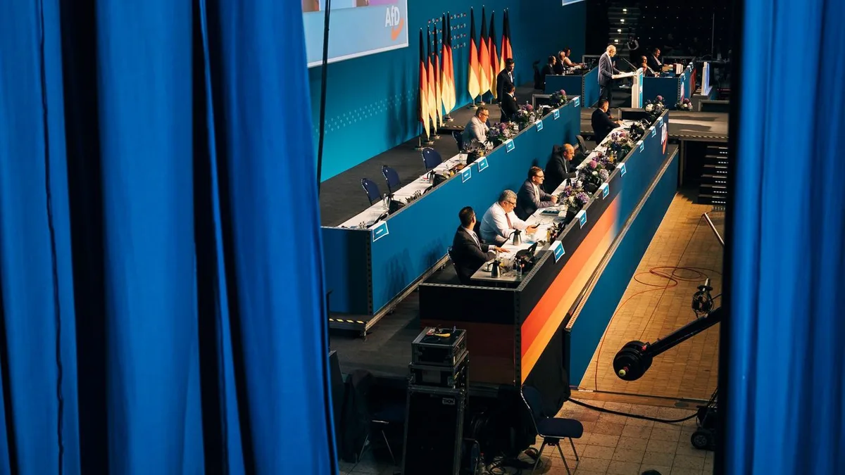 Essay: Wäre eine AfD-Regierung wirklich der Untergang der Demokratie?