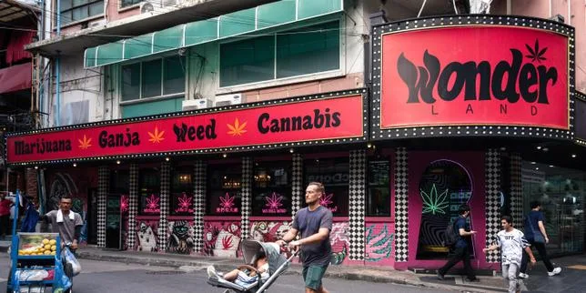 Derrière les « plans Thaïlande » proposés sur les réseaux sociaux, une filière massive d’importation de cannabis