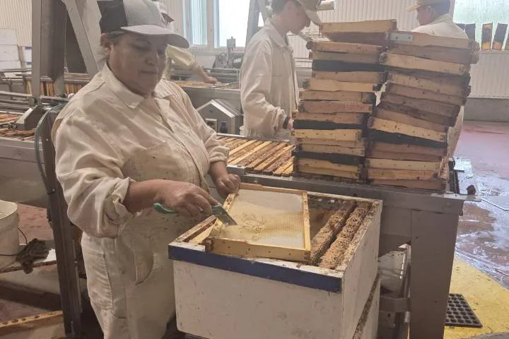 Saskatchewan honey producers face uncertain future amid Canada-U.S. trade war