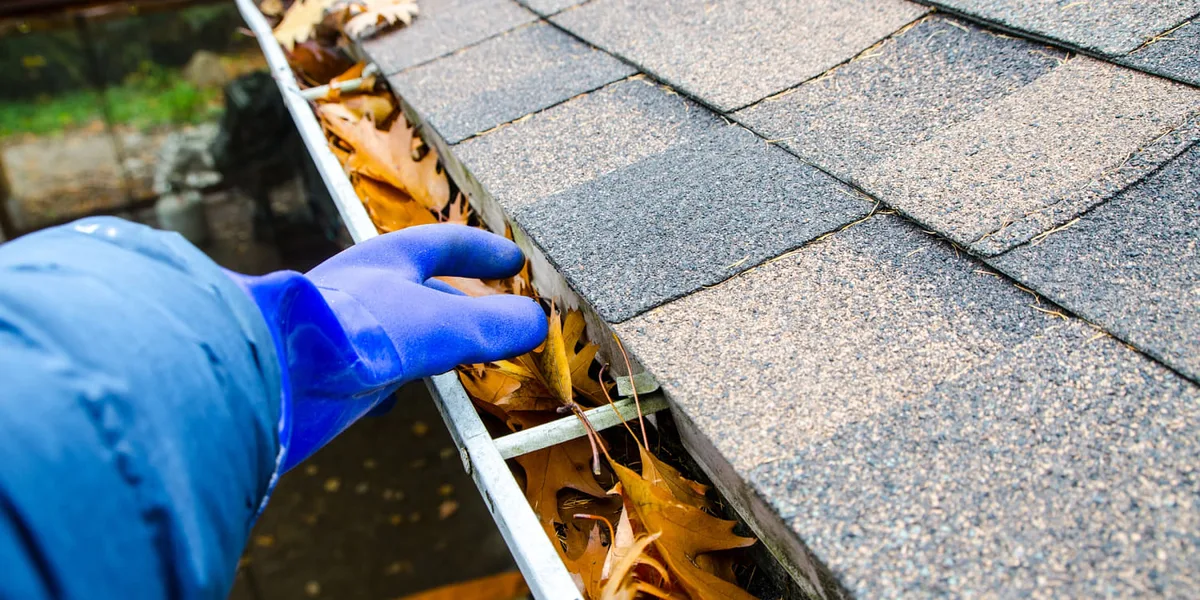 Experts say this is the best time to clean your gutters