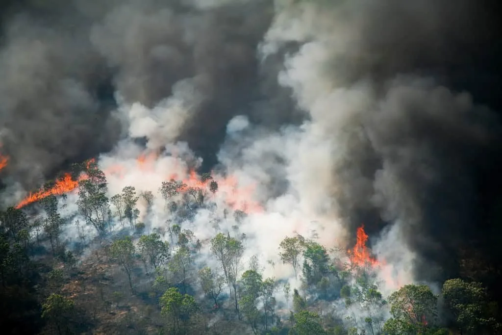 Amazônia pode pagar caro pela intensificação do El Niño