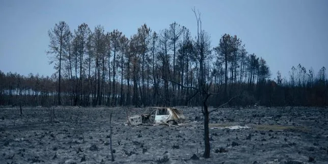 EN DIRECT, incendies et canicule : « Nous n’avons strictement rien à cacher », affirme Sébastien Lecornu en Gironde