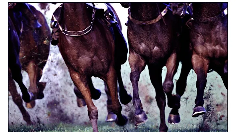 Revealed: What will win and why at Warwick Farm on Wednesday