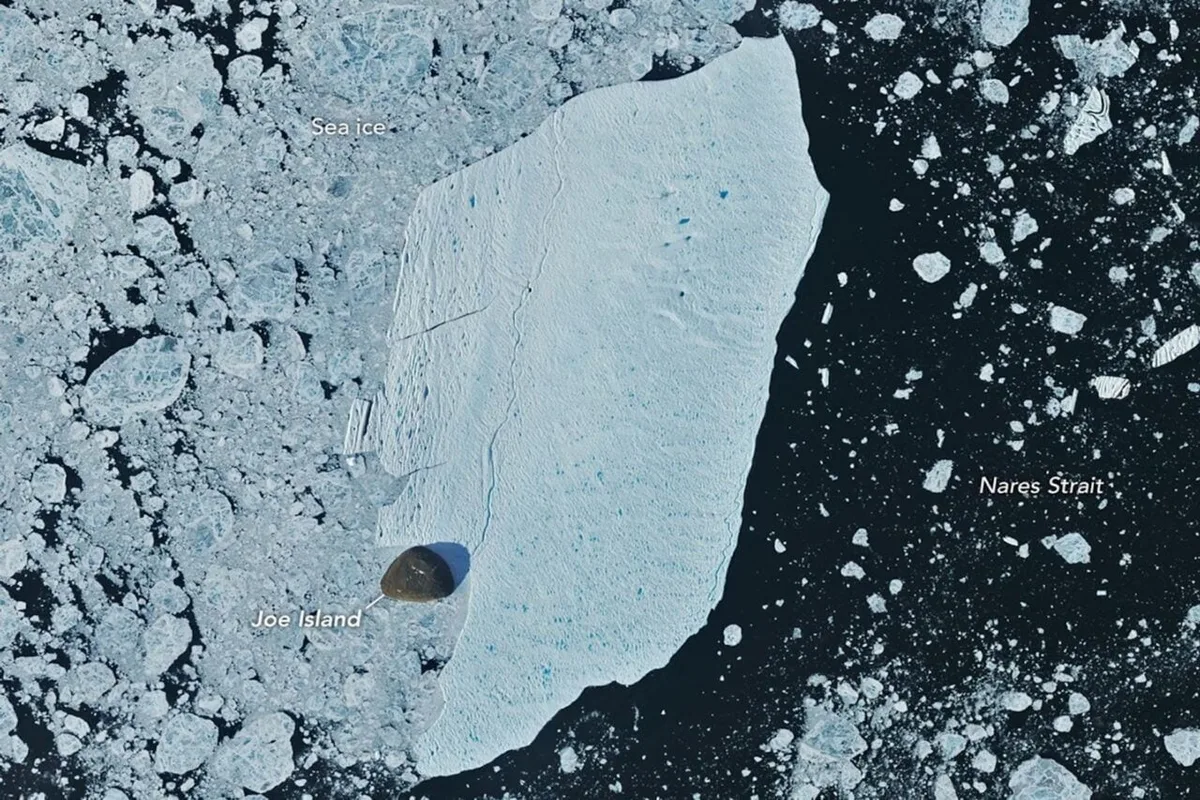 Greenland’s Wayward Ice Island Just Smashed Into Joe Island—and Survived