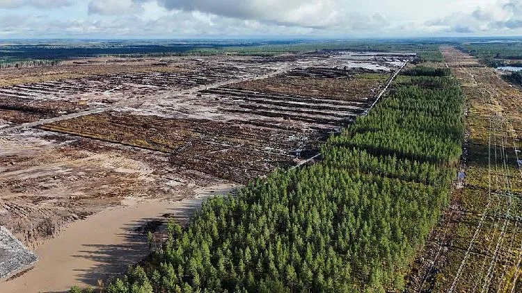 Finland halts Google data center work over environmental assessment