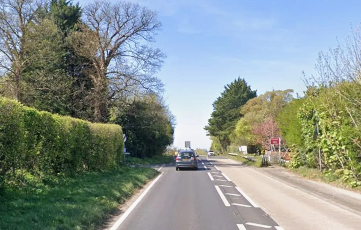 Teenager and man in his 20s dead after horror Surrey crash as three arrested