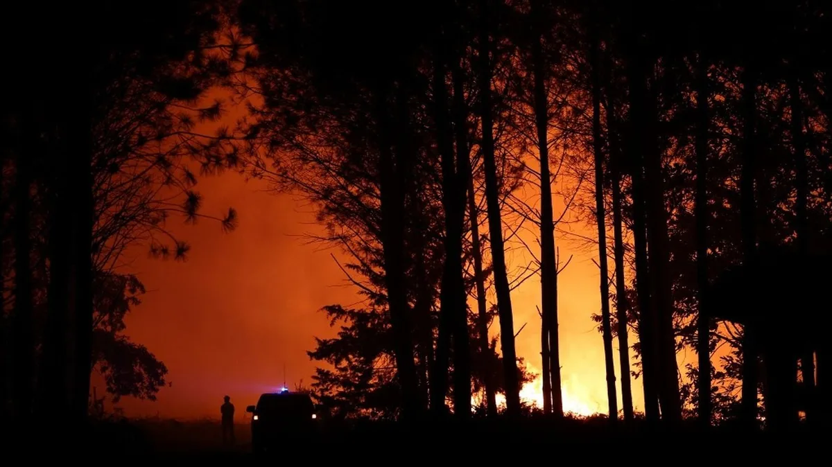 Canicule : l'incendie dans les Landes, département en vigilance orange, a déjà parcouru 600 hectares