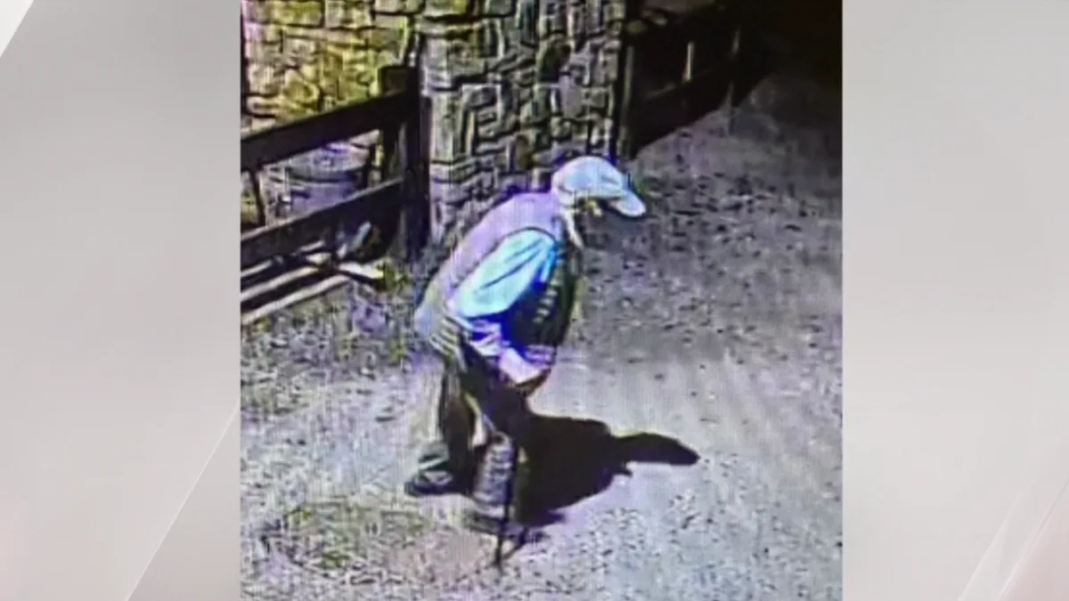 Baffling high-country mystery as 85-year-old John Backham vanishes after dinner at Harrietville Hotel