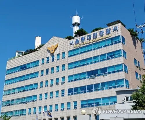 서울 동대문 길거리 칼부림 80대 구속…"도망우려"