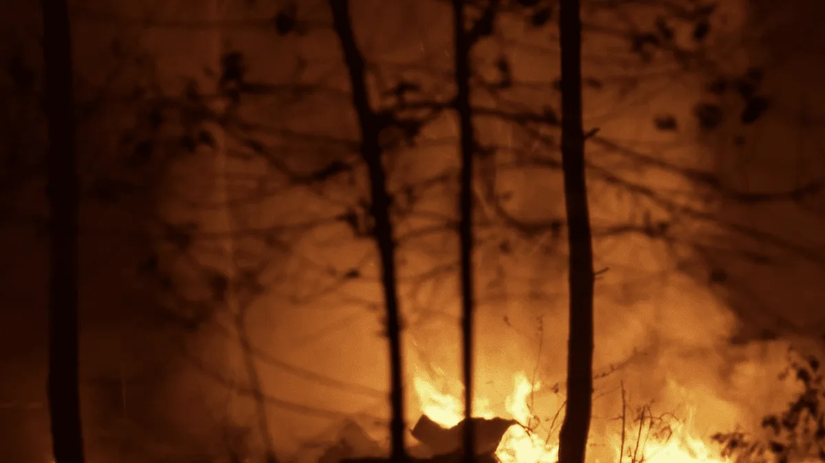 "On essaie de mettre le maximum de moyens pour sauver le maximum d'habitations" : dans les Landes, les pompiers luttent toujours contre les flammes