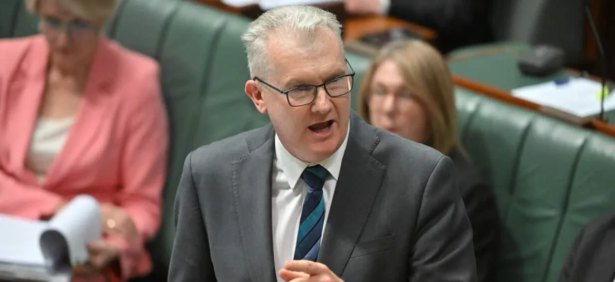 Tony Burke set to unveil Labor's new migration plan amid working holiday visa concerns
