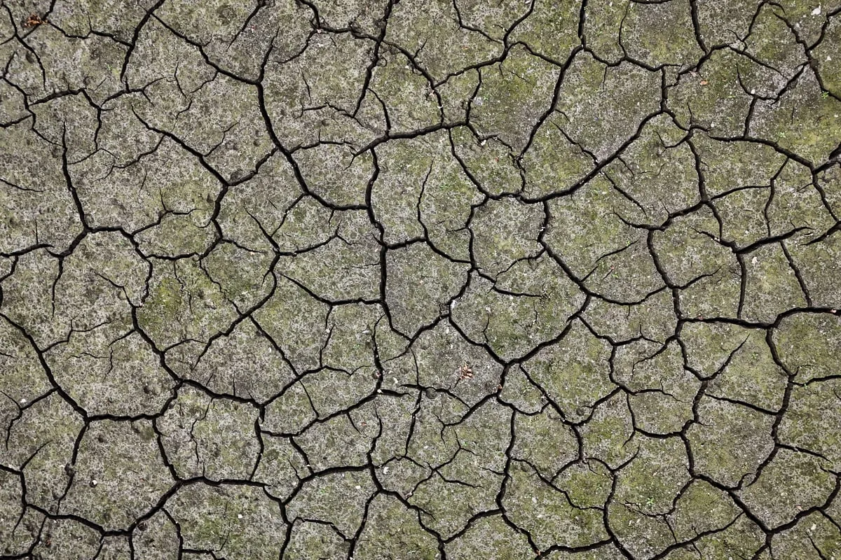 Parts of England in severe drought as water supplies ‘under immense pressure’