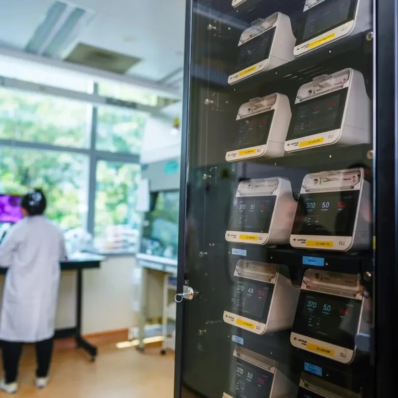Actualité : Nourris tous les trois jours : ce serveur fonctionne avec... 16 millions de neurones humains vivants