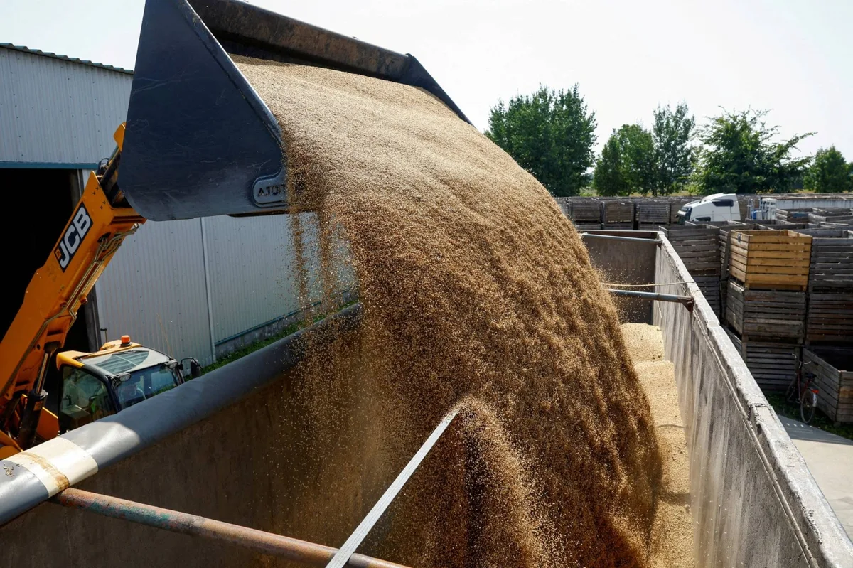 Wheat buyers brace for higher costs as Russia-Ukraine war drags on