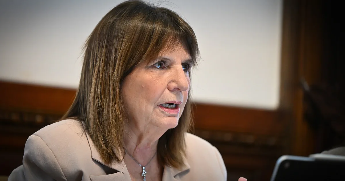 Bullrich presentó diez cambios clave al proyecto para la nueva Ley de Salud Mental