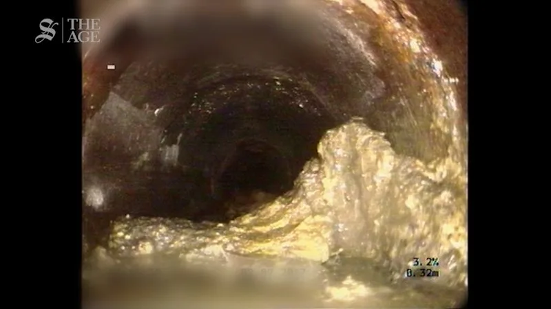 Fatbergs found in the Urban Utilities network around south-east Queensland.
