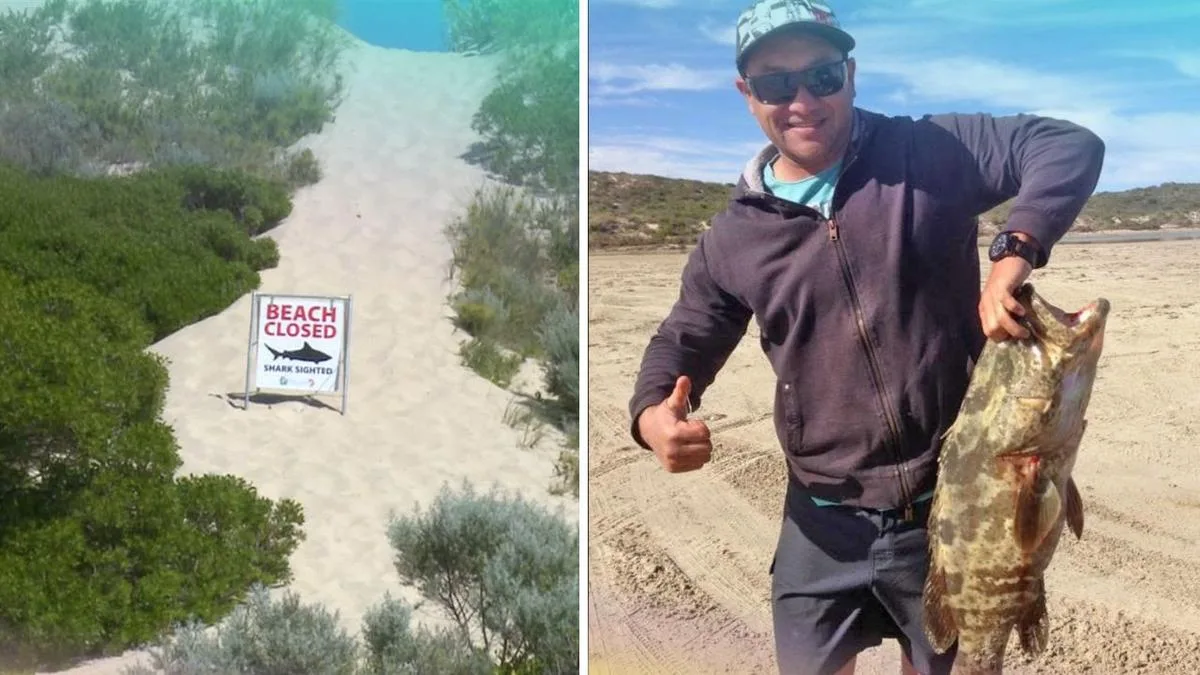 Glenfield Beach shark attack: Mel Ismail undergoes surgery, family issues statement