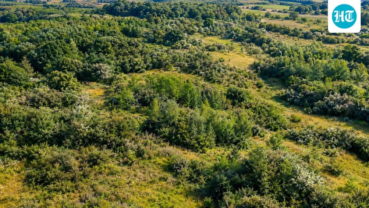In the late 1980s, an English farm was left to rewild; 35 years later, the 377-acre site hosted nightingales, turtle doves, and 11 bat species