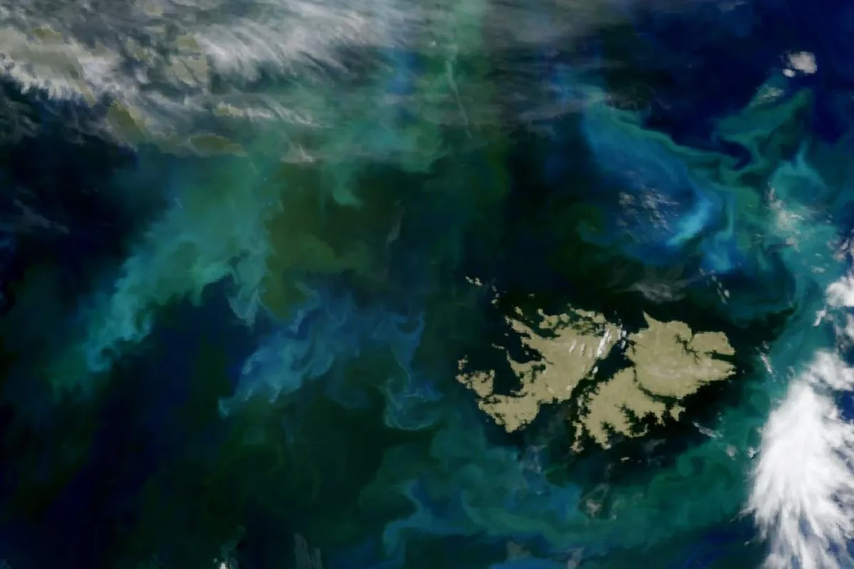 Reino Unido reivindica su soberanía sobre las Malvinas y defiende la autodeterminación de sus habitantes