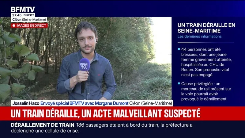 Déraillement d'un train en Normandie: de nombreux blessés toujours en état de choc après l'accident