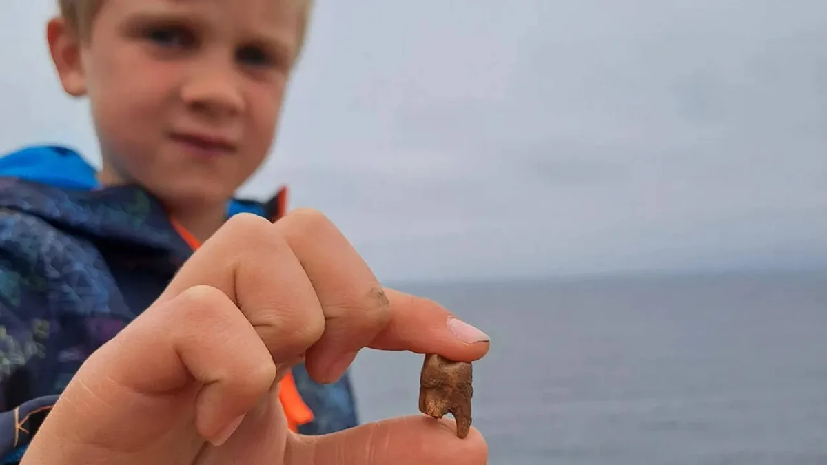 Meet Arthur, the 7-year-old British boy who found ancient human teeth